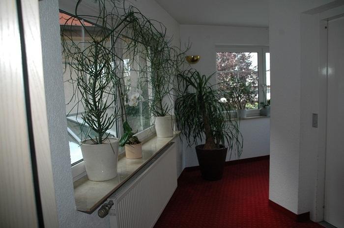 Mayers Waldhorn - Zwischen Reutlingen Und Tuebingen Kusterdingen Buitenkant foto